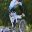 Bordeaux  33    Championnat de France BMX   Samedi 14 et dimanche 15 juillet 2012  Photos Perrine Sauvey   DSC 0013 BorderMaker.jpg