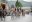 DSC 0242  Medium .JPG