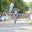 DSC 2831  Medium .JPG