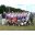 SH103827.JPG