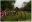 Capture d ecran 2012 05 19 a 13.40.32.png