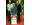Capture d ecran 2011 11 06 a 08.49.41.png