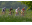 Capture d ecran 2013 04 23 a 05.35.18.png