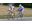 Hinault Michot.jpeg