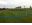 I PHONE CYCLO CROSS JANV 2012 027.jpg