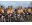 img 02132 612x459  lznmbl v2.jpg