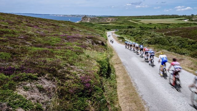 Feu vert aux courses en peloton !