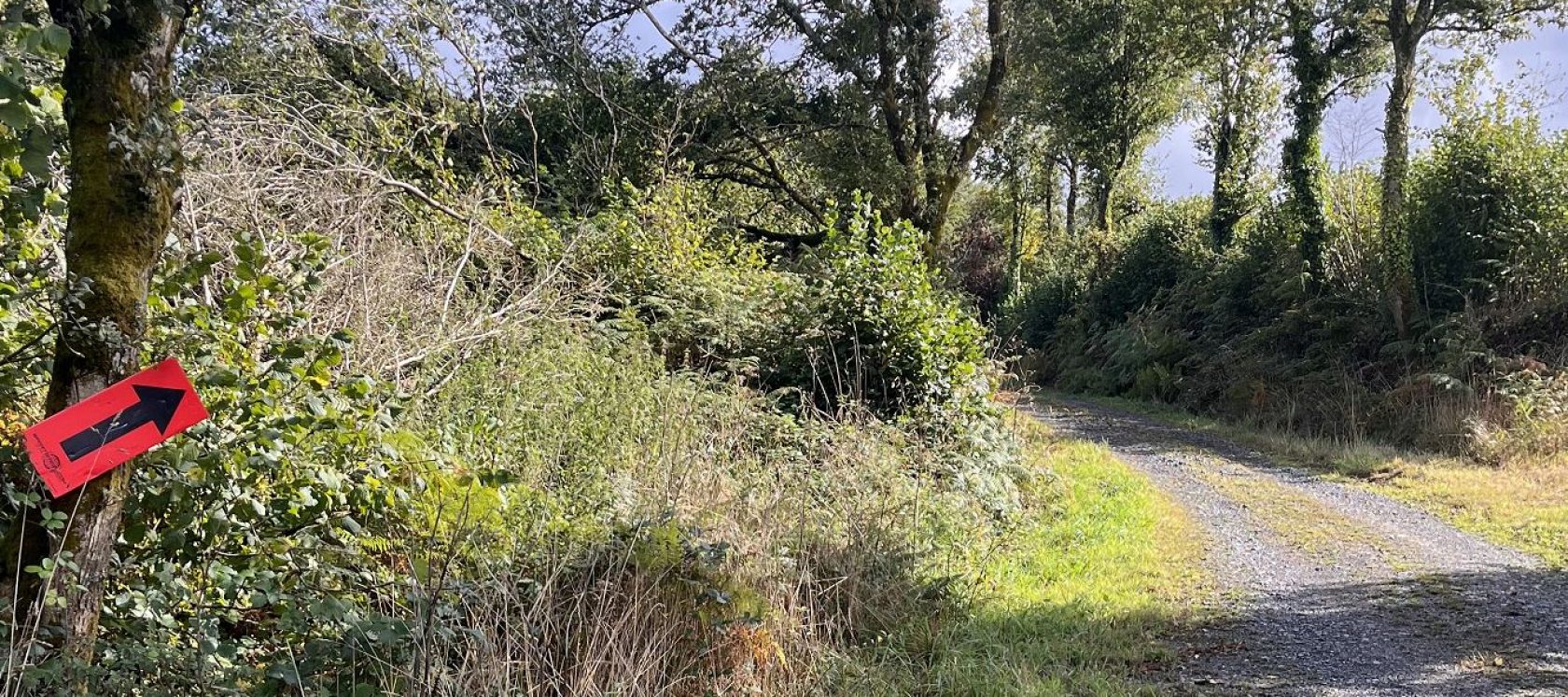 Bretagne Gravel: les engag-es