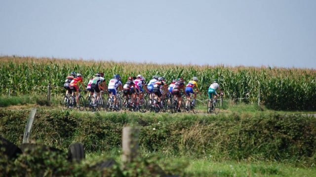 Louvign-du-Dsert (35) : "La Route du Roc"