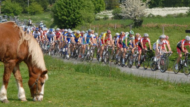  Botmeur (29) : Les bouquets pour Labat et Le Moy.