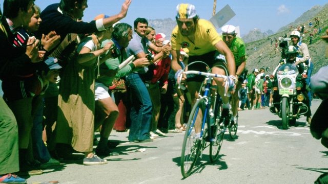 Bernard Hinault  la radio et  la tl