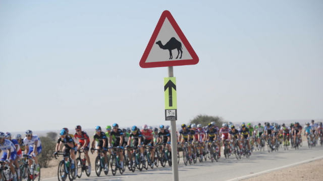 Tour of Qatar 2014 : Boonen et les autres