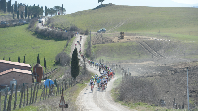 Les Strade Bianche : Cordon 14e 