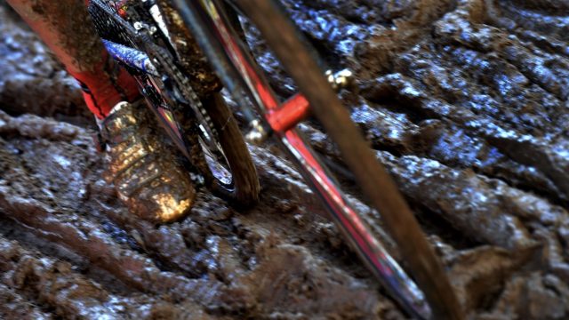 Cyclo-cross: des Bretons en bleu