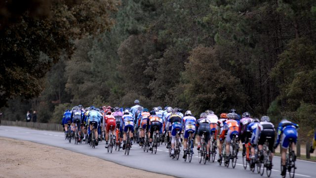 A suivre ce week-end dans les Pays de la Loire