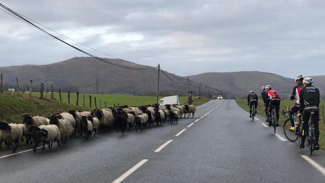 Essor Basque : la rentre de Loudac