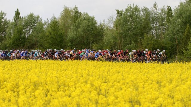 Tour du Loir-et-Cher #3 : Guyot plac