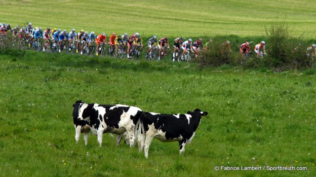 Ecoles de Cyclisme, Minimes et Cadets au Drennec : les rsultats 