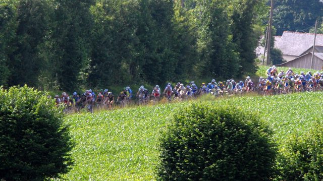 Challenge du Coglais  La Selle en Cogls: les bouquets pour Chrel et Chesnel 