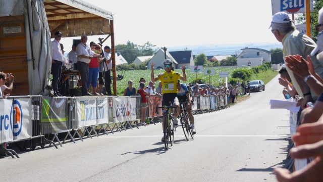 Ronde Finistrienne #2: encore Guillemot