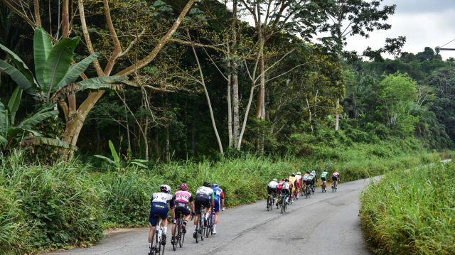 La Tropicale Amissa Bongo reporte