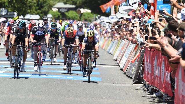 Tour Down Under #1: Caleb Ewan comme en 2016 / Le Bon out