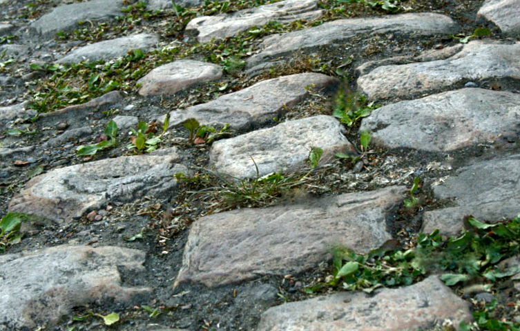 Paris-Roubaix Juniors : la bande annonce