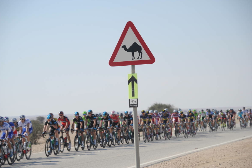 Tour of Qatar 2014 : Boonen et les autres