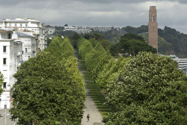 Brest cours Dajot ce mardi soir : les engags 