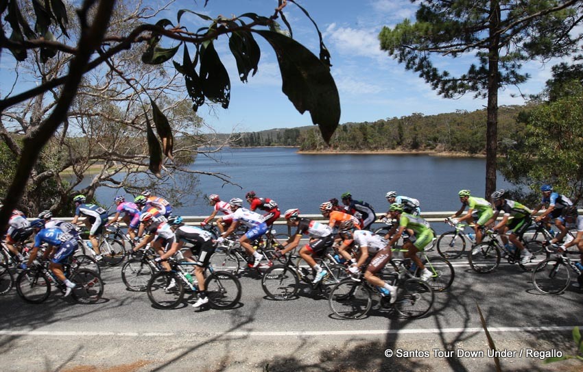 Tour Down Under : Prix de la combativit pour Blel Kadri 