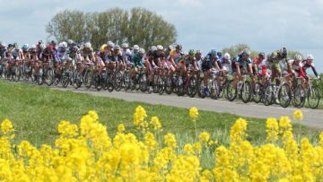 Grand Prix du Muguet  Iwuy (Nord) : Daeninck 