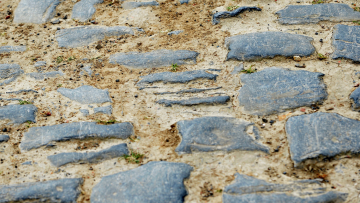 Les Bretons de Paris-Roubaix