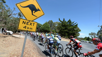 Tour Down Under#2: Mc Carthy en puncheur