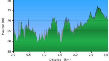 Cyclo-cross de Flamanville (50) : le circuit modifi 